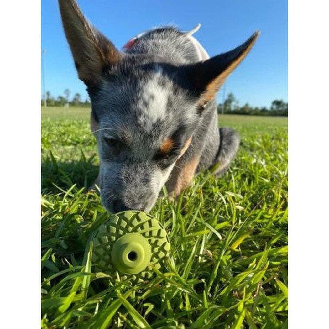 Tall Tails Natural Rubber Acorn Toy - 3"-Pets - Toys-Appalachian Outfitters