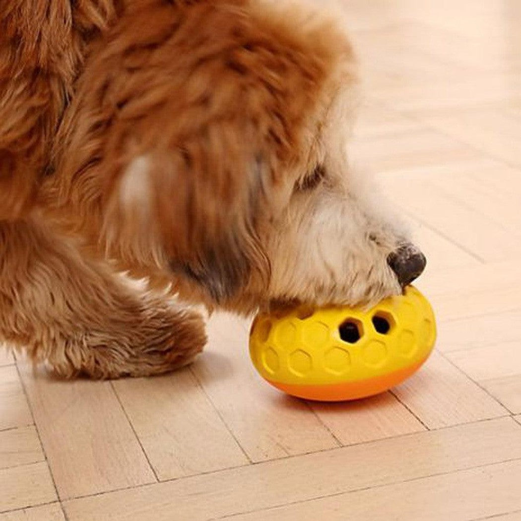 A fluffy brown dog chews on a yellow and orange Tall Tails Natural Rubber Bee Hive Toy on a light wood floor.