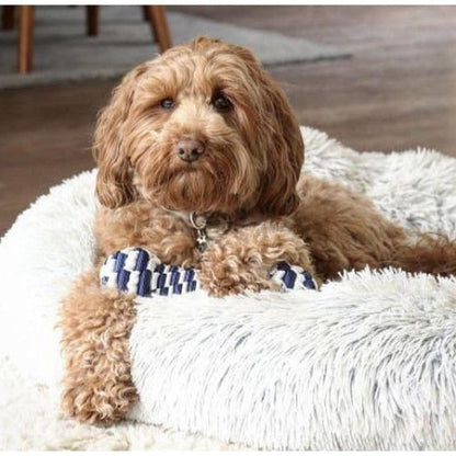 A brown dog with a "Tall Tails Navy Braided Bone Toy" in its paws lies on a fluffy white bed.