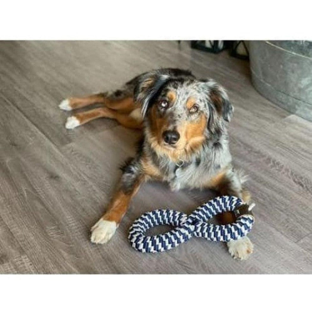 A dog lies on a wood floor with a Tall Tails Navy Braider Infinity Tug Toy in front of it.