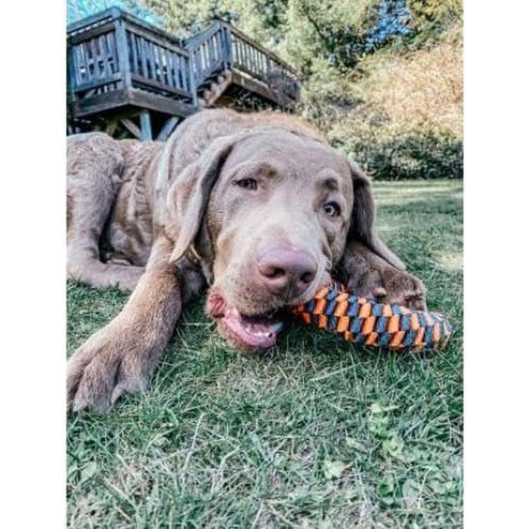 A brown dog lies on grass with a Tall Tails Orange Braided Ring Toy in its mouth, with a wooden deck and trees in the background.