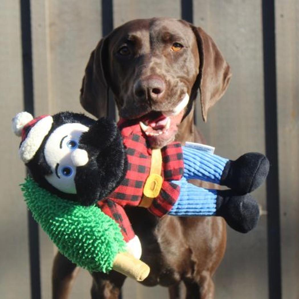 A brown dog holds the Tall Tails Paul Bunyan Rope Body Dog Toy in front of a metal fence.