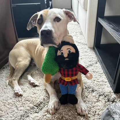 A tan dog sits on a carpet with the Tall Tails Paul Bunyan Rope Body Dog Toy in front of it, showing the toy's red plaid shirt and blue pants.