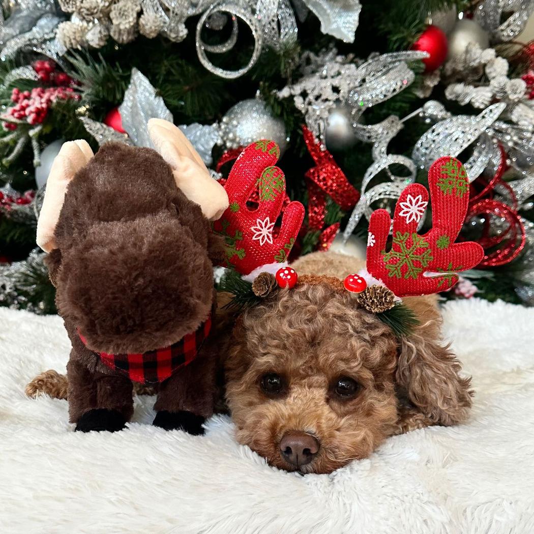 Tall Tails Plush Animated Moose Toy-Pets - Toys-Appalachian Outfitters