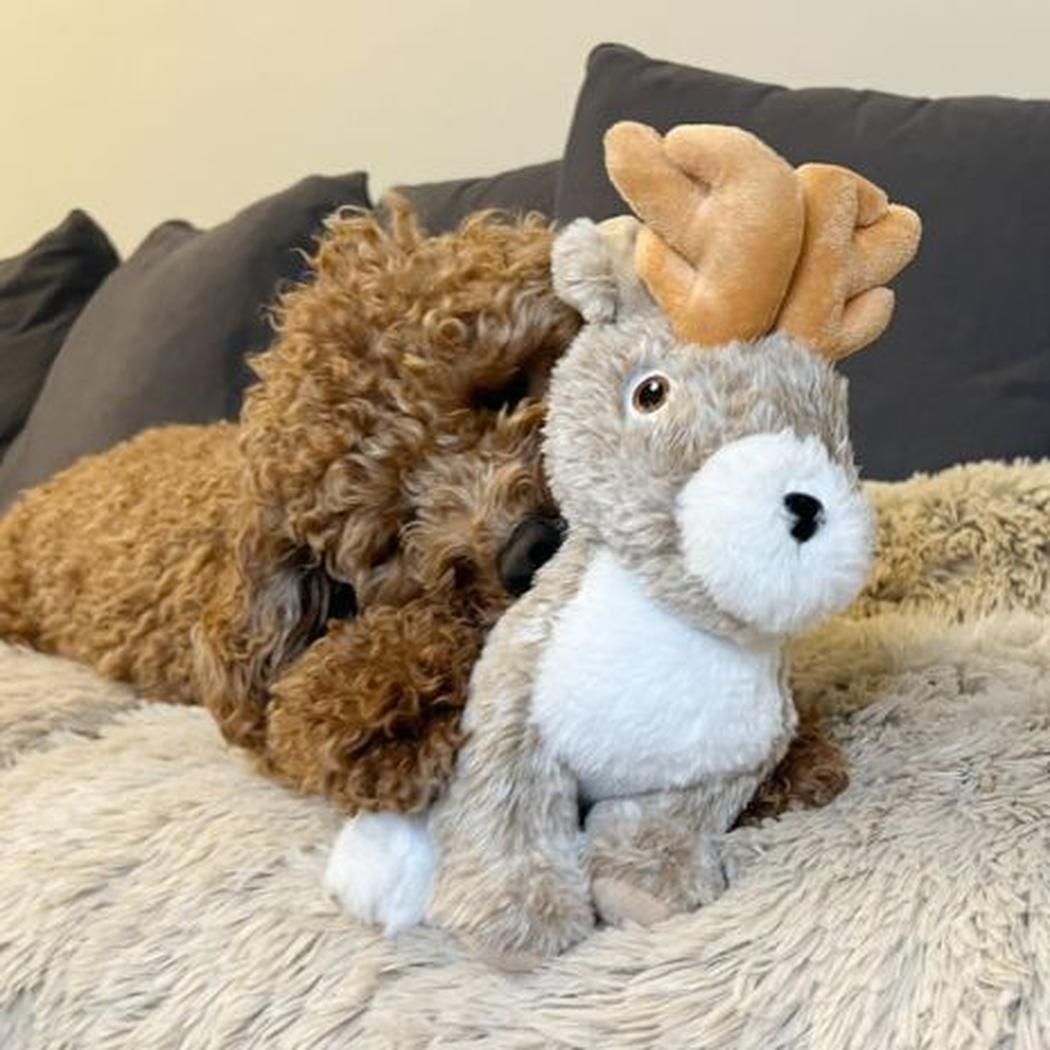 Tall Tails Plush Jackalope Twitchy Toy - 9"-Pets - Toys-Appalachian Outfitters