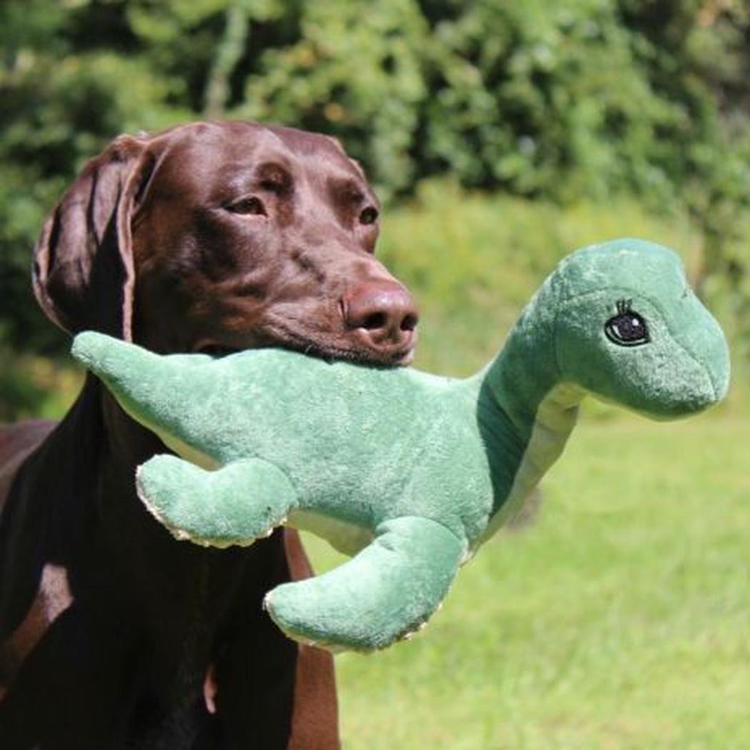 A brown dog holds the Tall Tails Plush Nessie SqueakCrinkle toy in its mouth outdoors on grass.