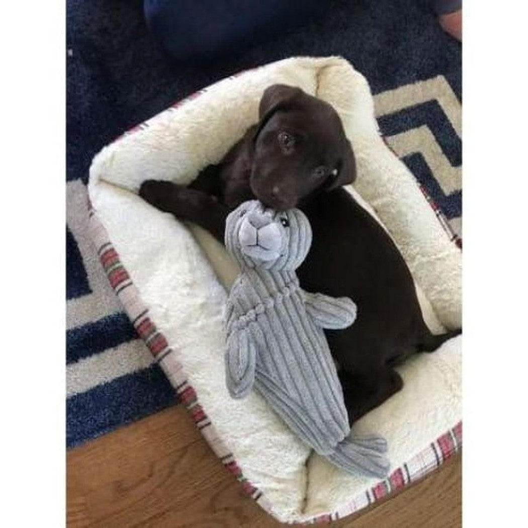 A dark brown puppy lies in a cream pet bed holding the Tall Tails Plush Seal Squeak & Crunch Toy against a blue and white patterned rug.