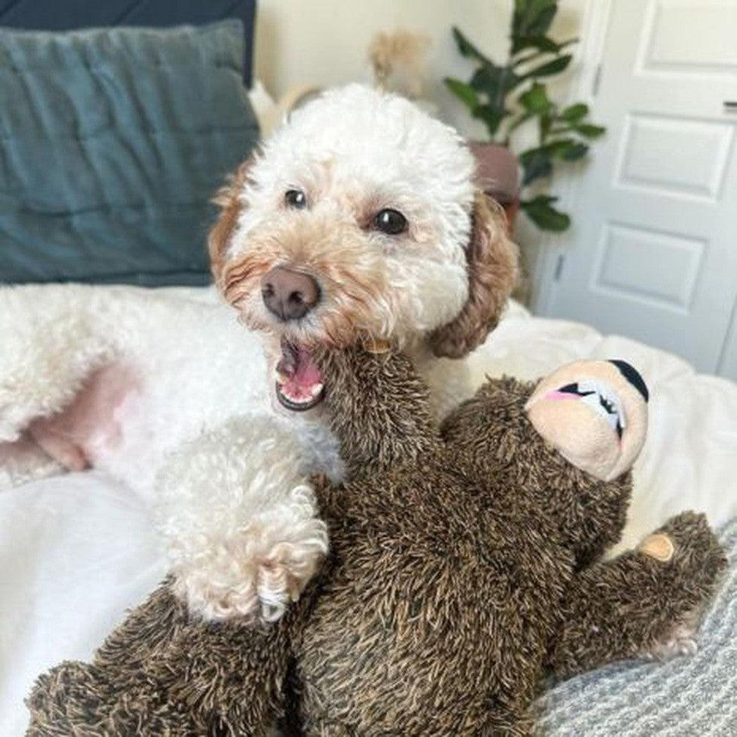 A fluffy white dog plays with a brown "Tall Tails Rope Body Grizzly Bear 14"" toy on a bed with a blue pillow and white blanket.