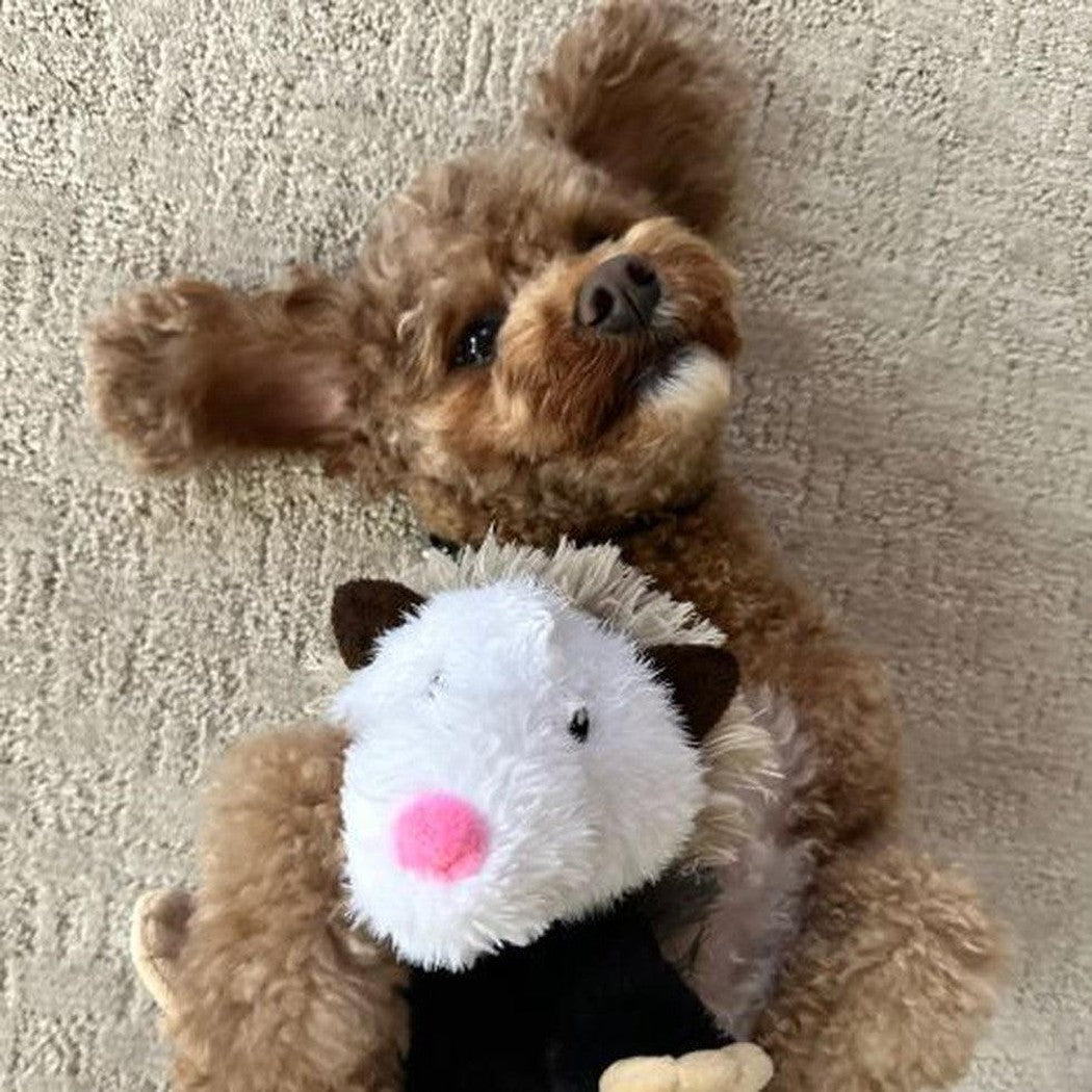 A brown dog lying on its back on a carpeted floor holds the Tall Tails Rope Body Possum 12" toy.