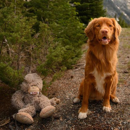 A brown dog sits on a gravel path next to a gray stuffed Big Foot toy, with trees and mountains in the background.