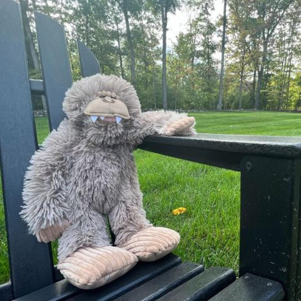 A plush Tall Tails Stuffless Big Foot with Squeaker sits on a black outdoor bench with a grassy park background.