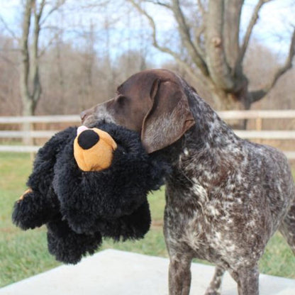 Tall Tails Stuffless Black Bear Squeaker Dog Toy-Pets - Toys-Appalachian Outfitters