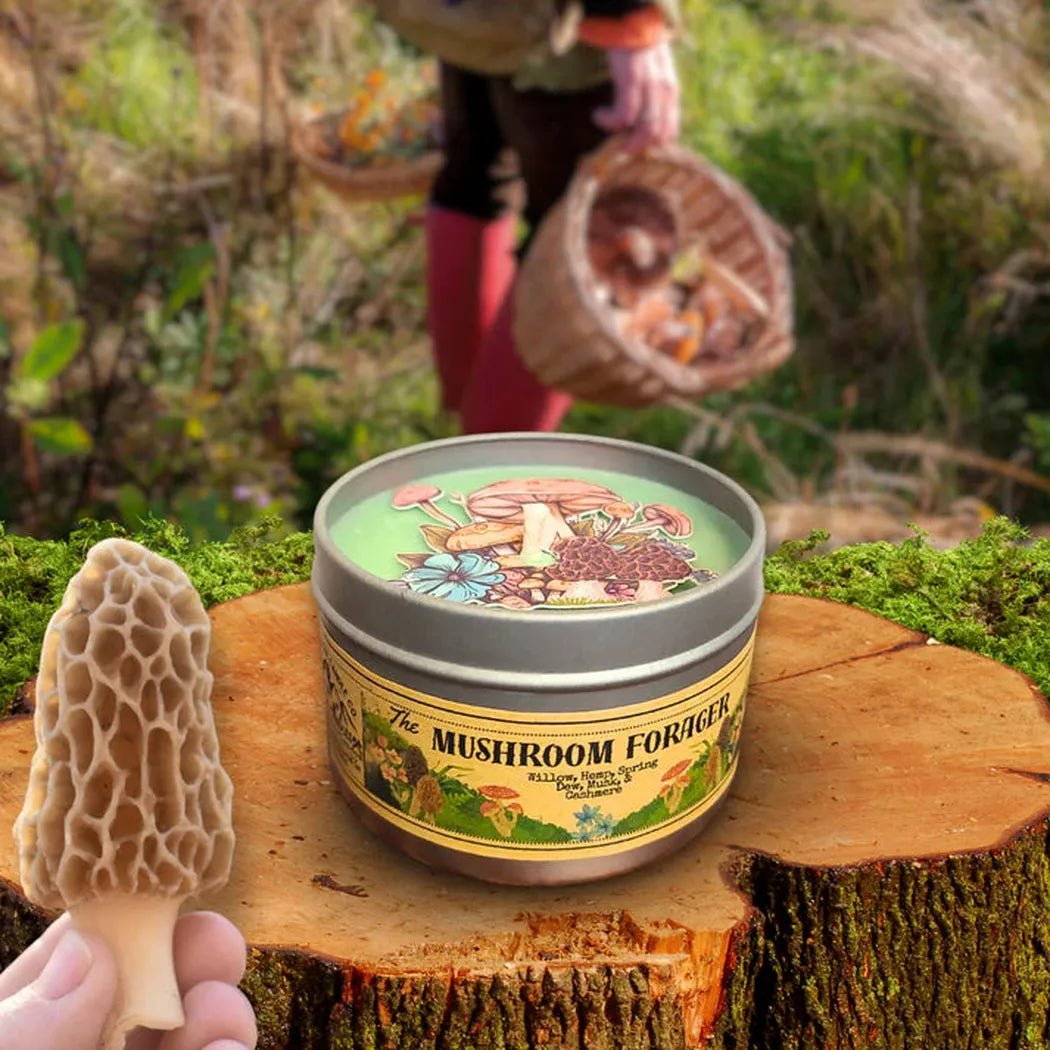 A hand holds a morel mushroom next to a 4 oz Wanderlust Folk The Mushroom Forager tin on a tree stump, with a forager in the background.