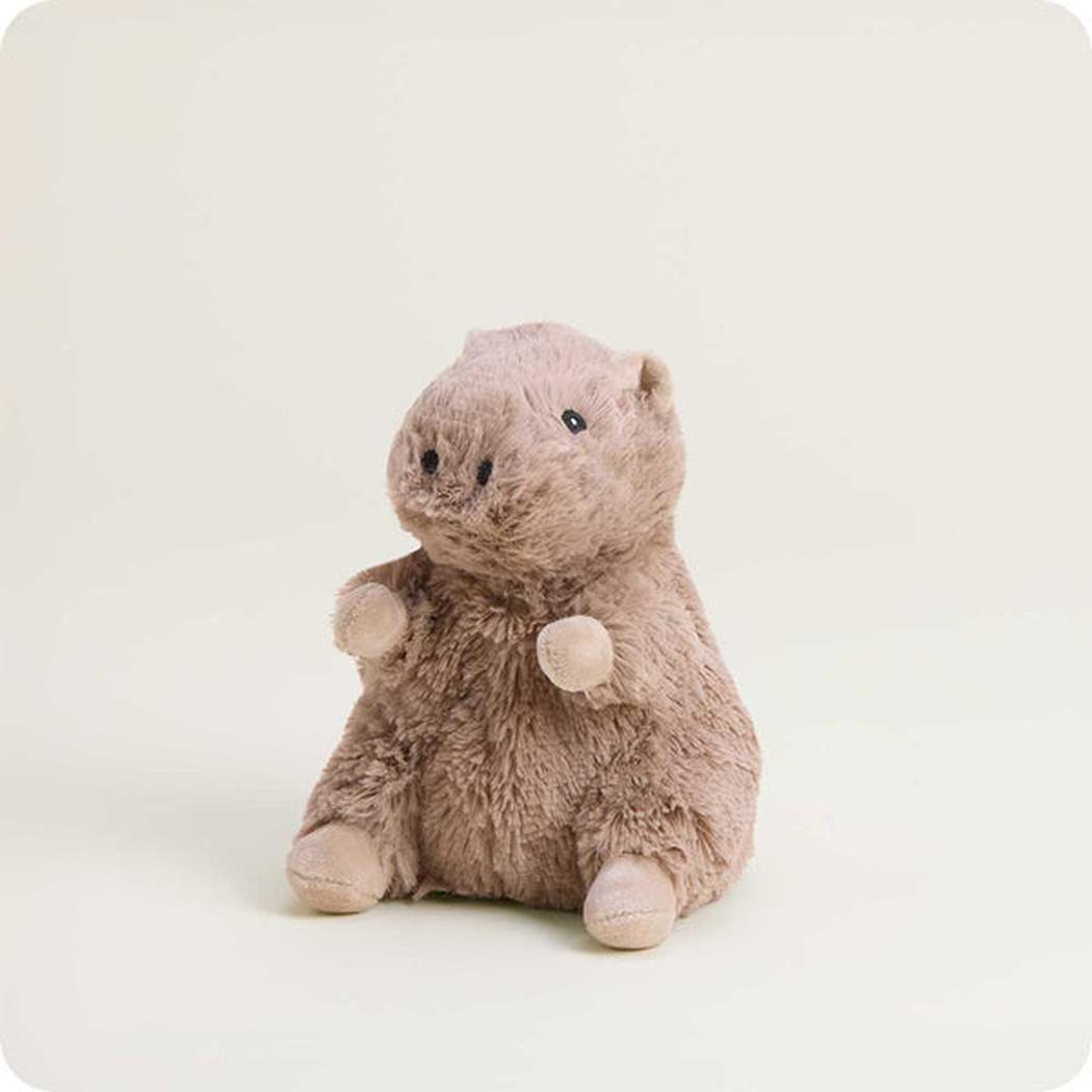 A front view of the Warmies Capybara Junior plush toy with a light background.
