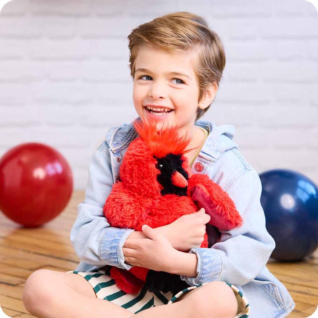 A young boy sits cross-legged on a wooden floor holding a Warmies Cardinal plush toy, with red and blue balls in the background.