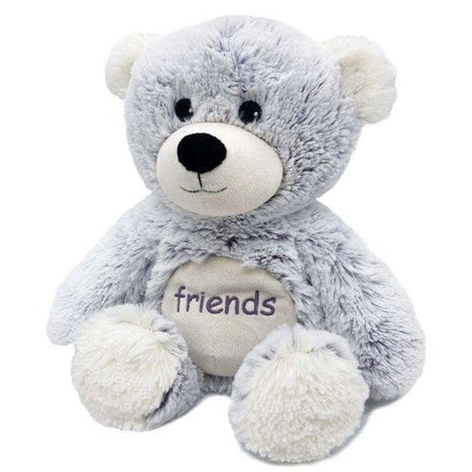 A front view of the Warmies Friends Bear with a white background.
